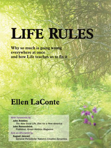 File:Book-Life Rules.jpg